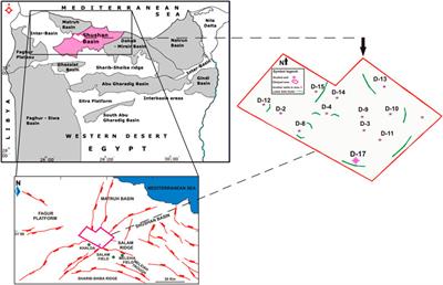 Organic petrographic, geochemical, and sequence stratigraphic analyses for evaluating the hydrocarbon potential of Middle Jurassic–Lower Cretaceous rocks in Shushan Basin, northwestern Egypt